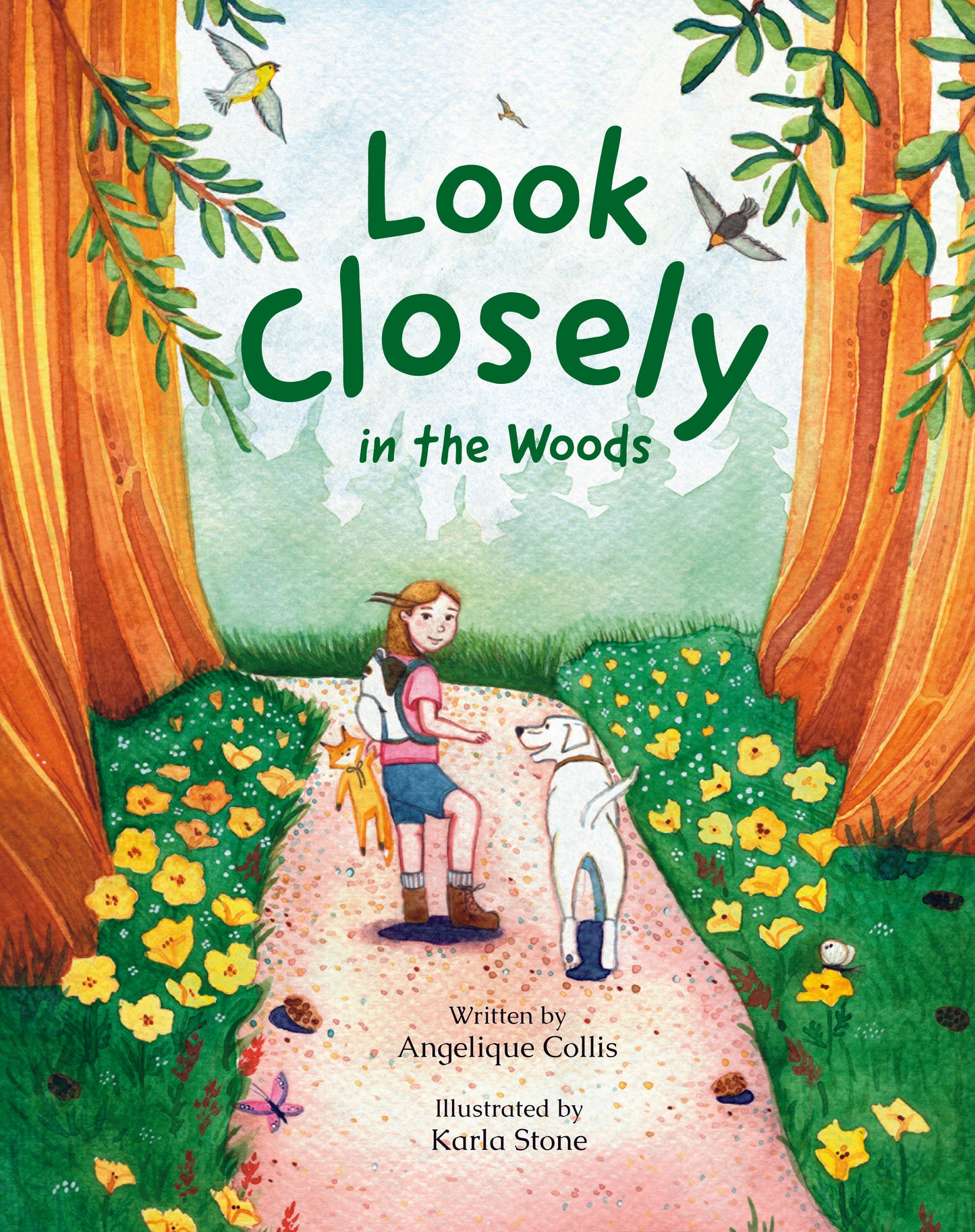PRE-ORDER Look Closely in the Woods